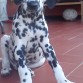 con 2 meses